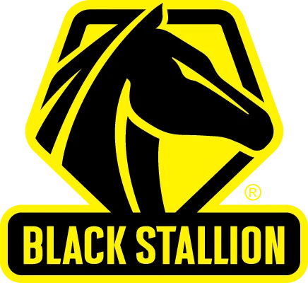 Black Stallion